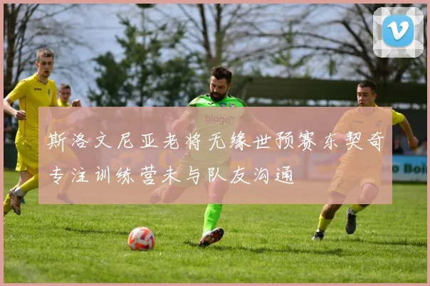 斯洛文尼亚老将无缘世预赛东契奇专注训练营未与队友沟通